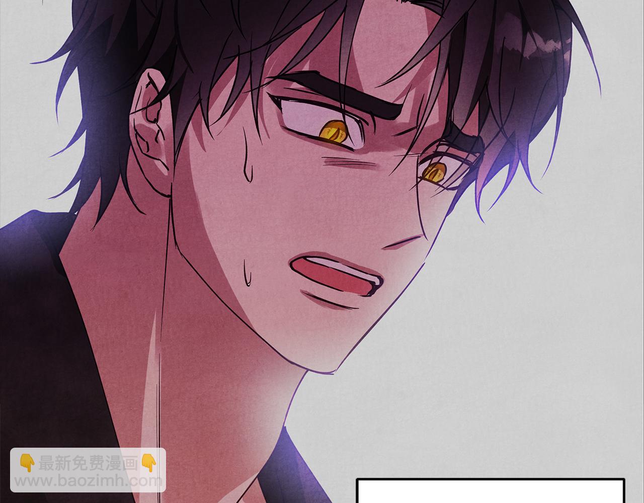 第31话 魅影的诅咒117