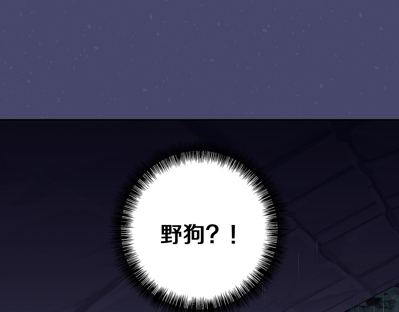 第46话 她失踪了！116