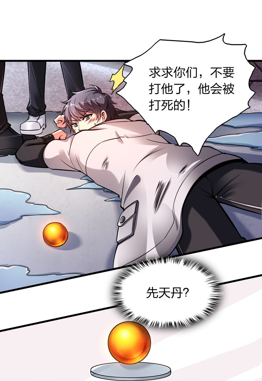 002 先天神丹29