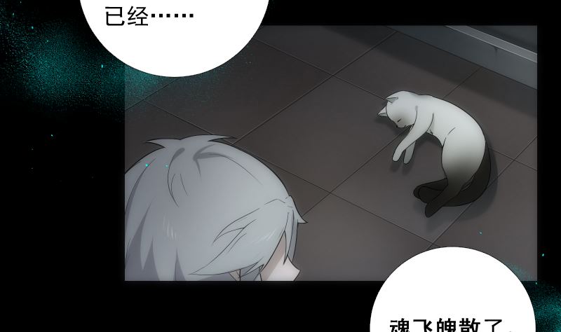 第67话 元神10