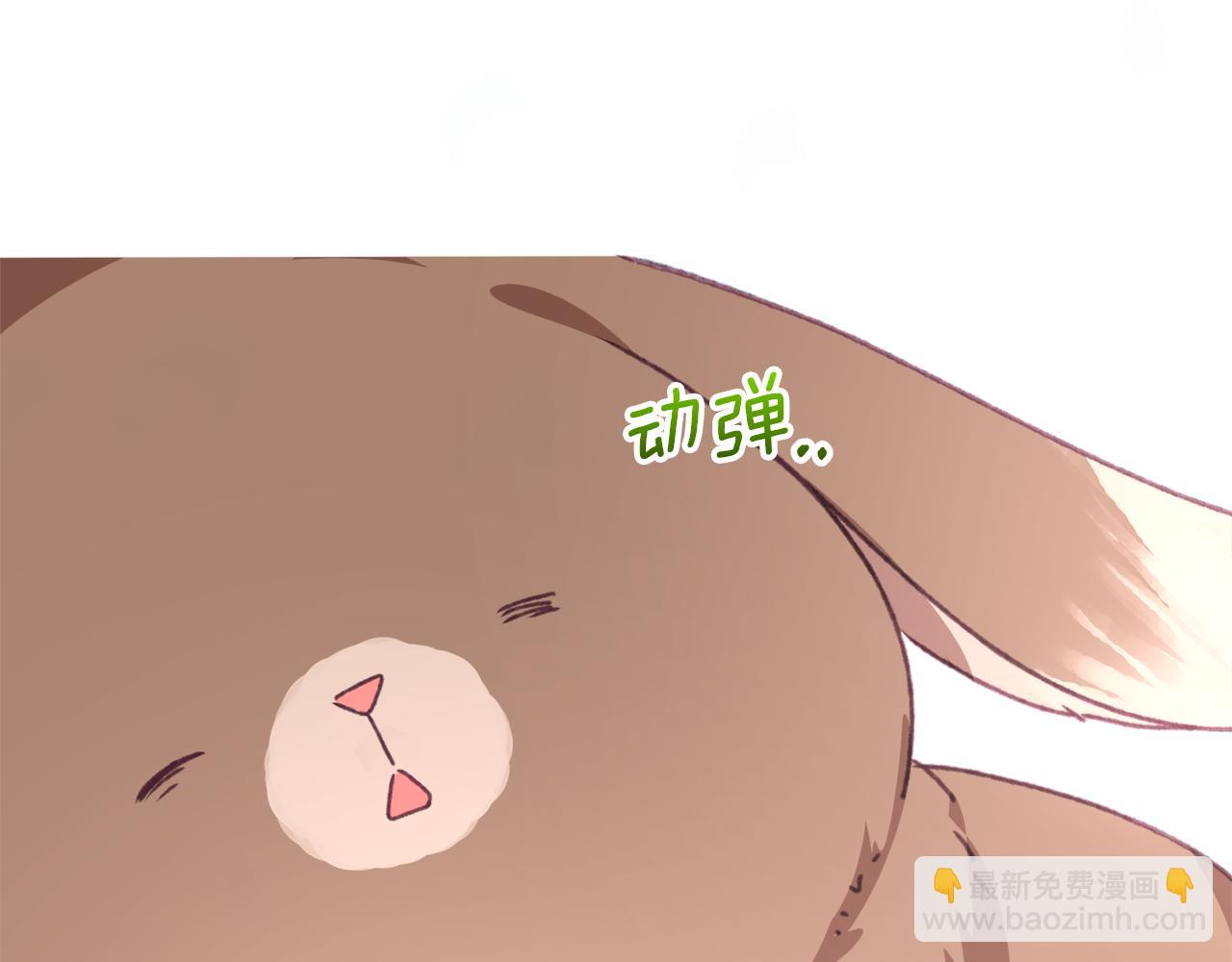 第4话 会说话的兔子？153