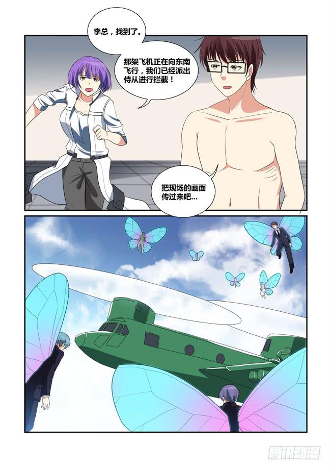 53、狼毒花再现1