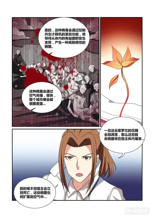 53、狼毒花再现6