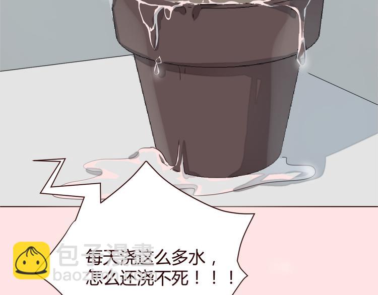 新作《仙人掌男友》精彩上线！18