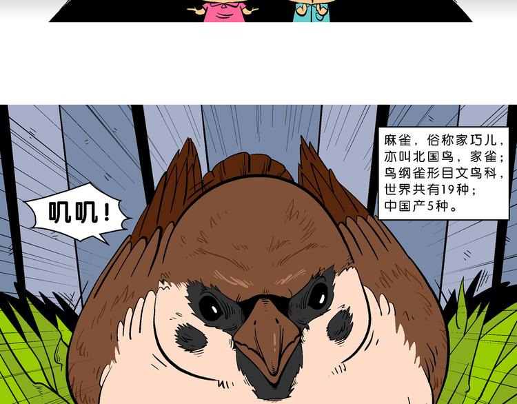 第26话 桂宝小世界大冒险17