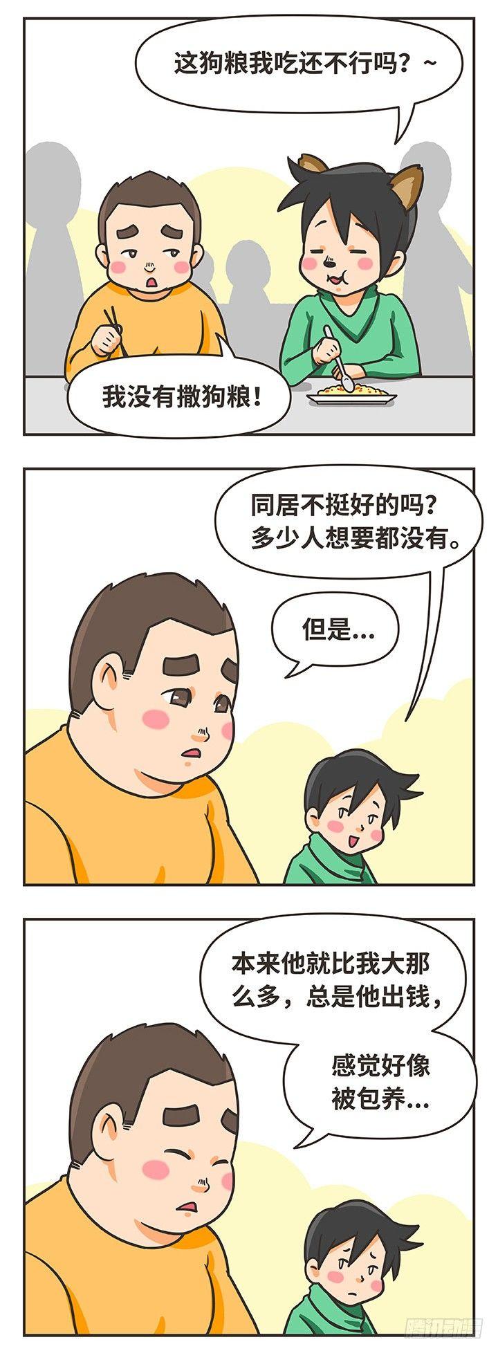 16-猫1