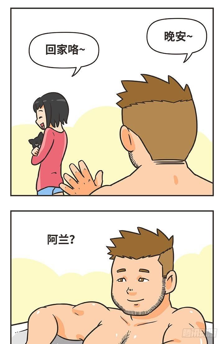 16-猫11