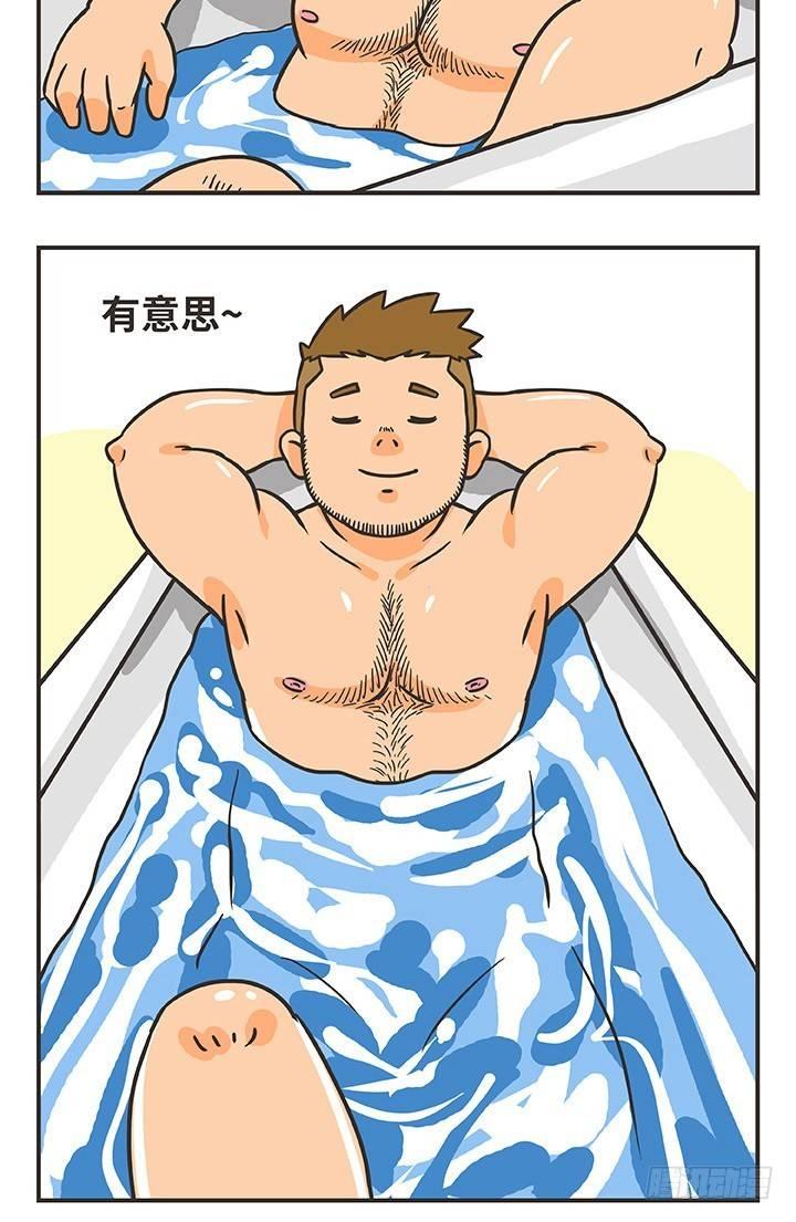 16-猫12