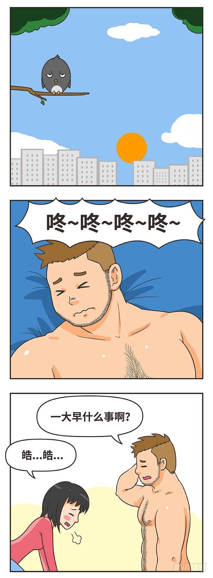 16-猫13