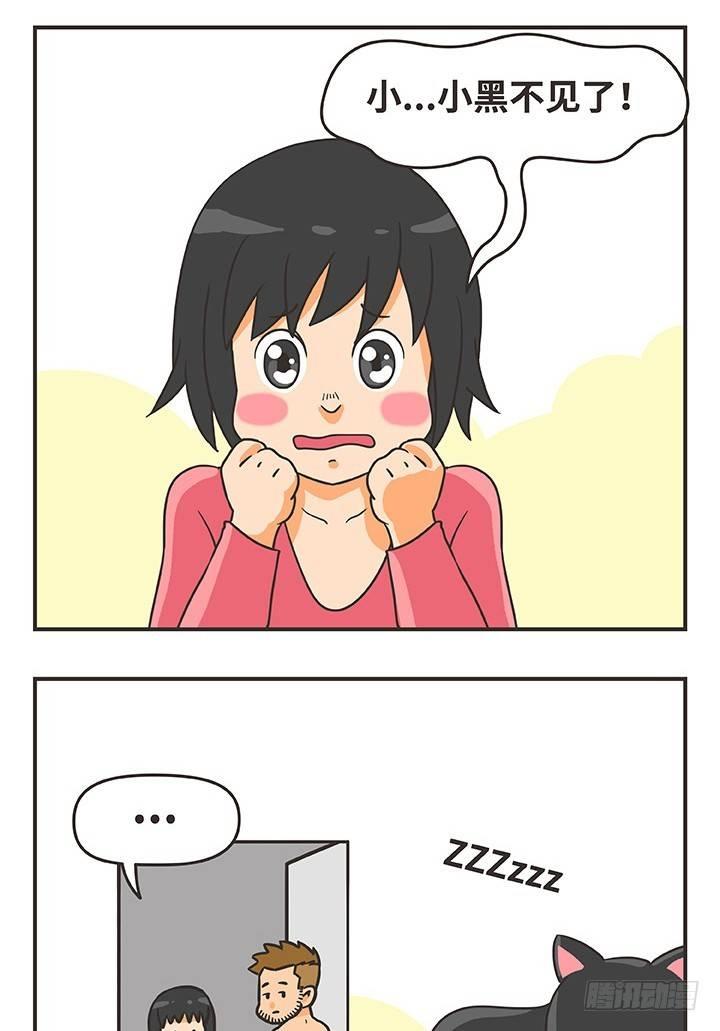 16-猫14