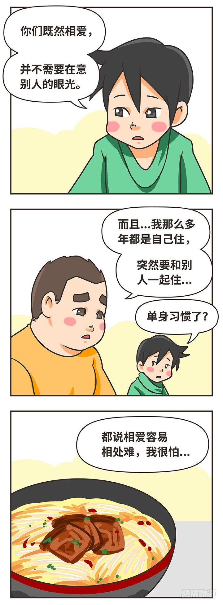 16-猫2