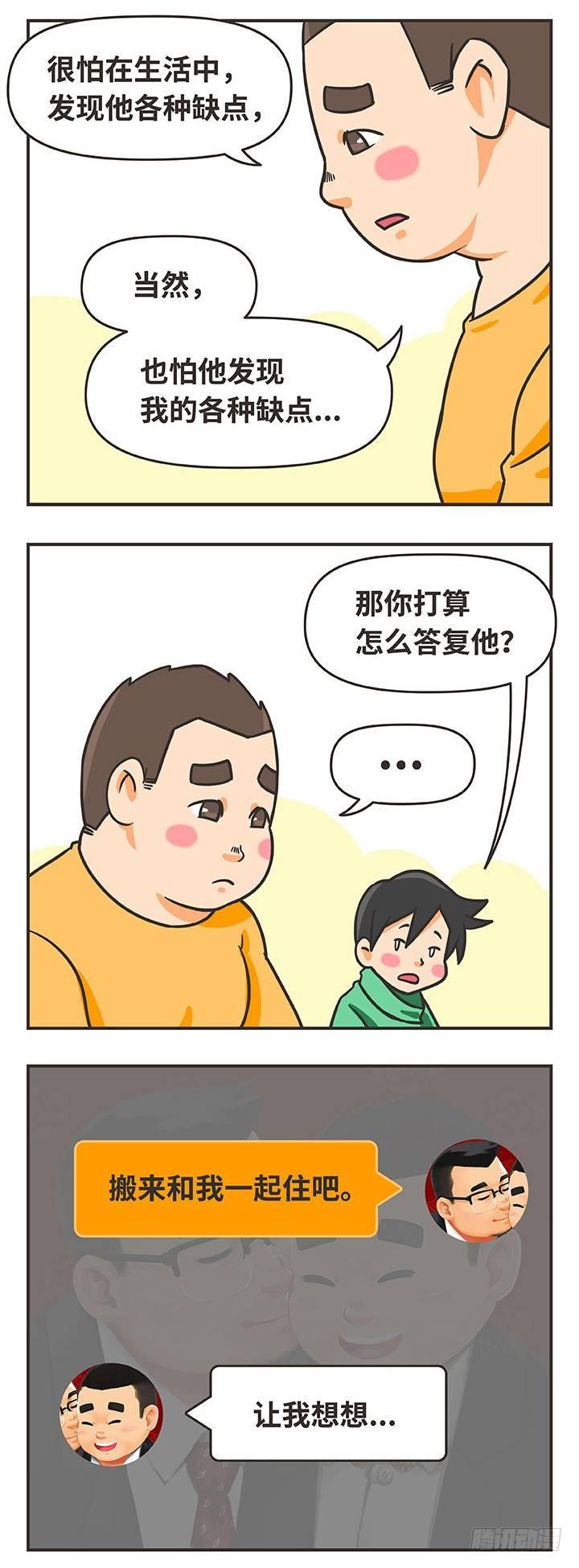 16-猫3