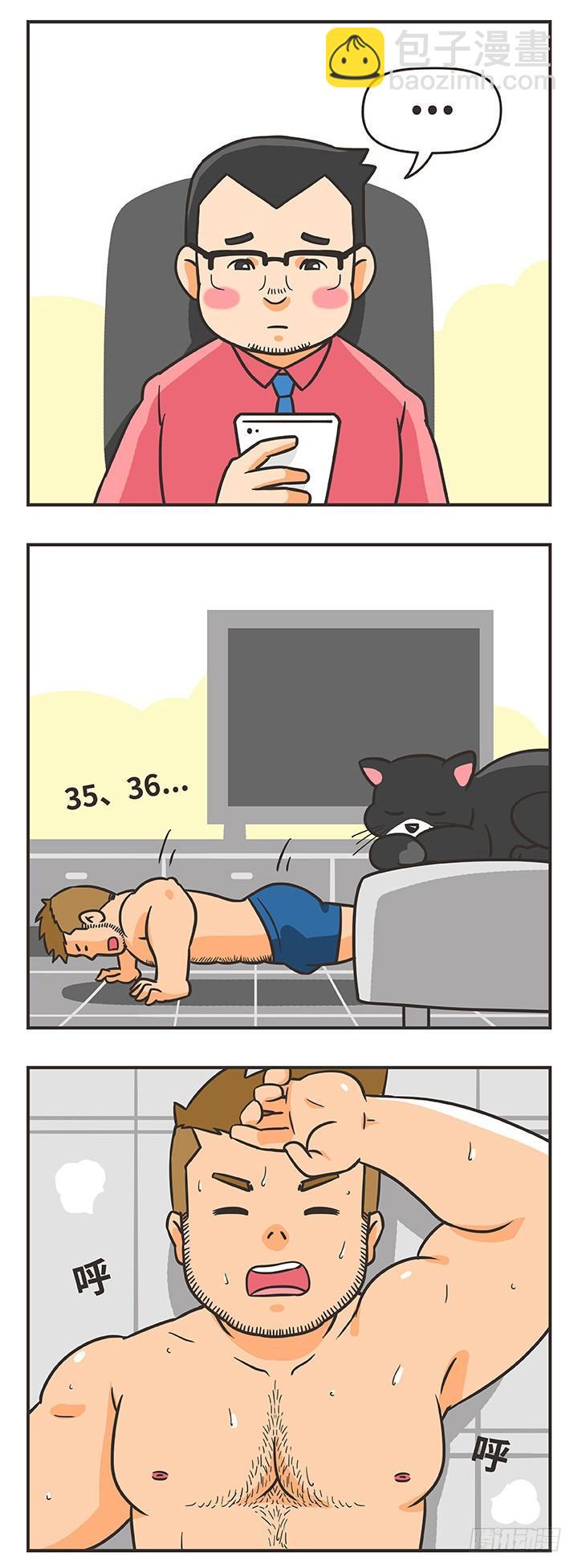 16-猫4