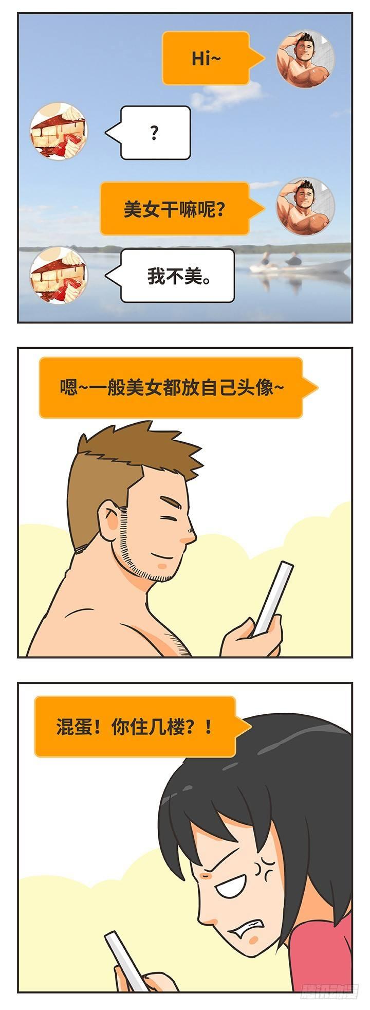 16-猫6
