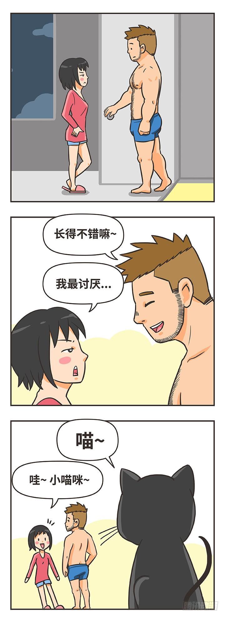 16-猫7