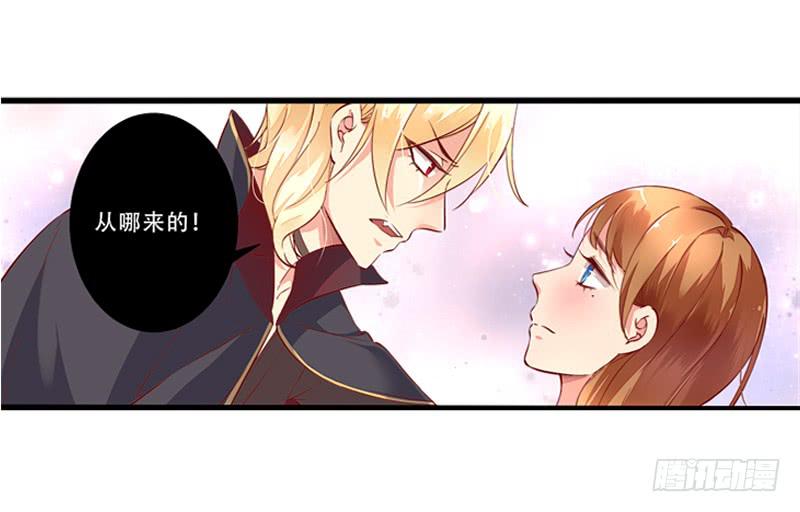 004夫妻之间的正经事16
