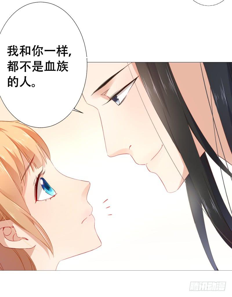024 给你一份全家桶6