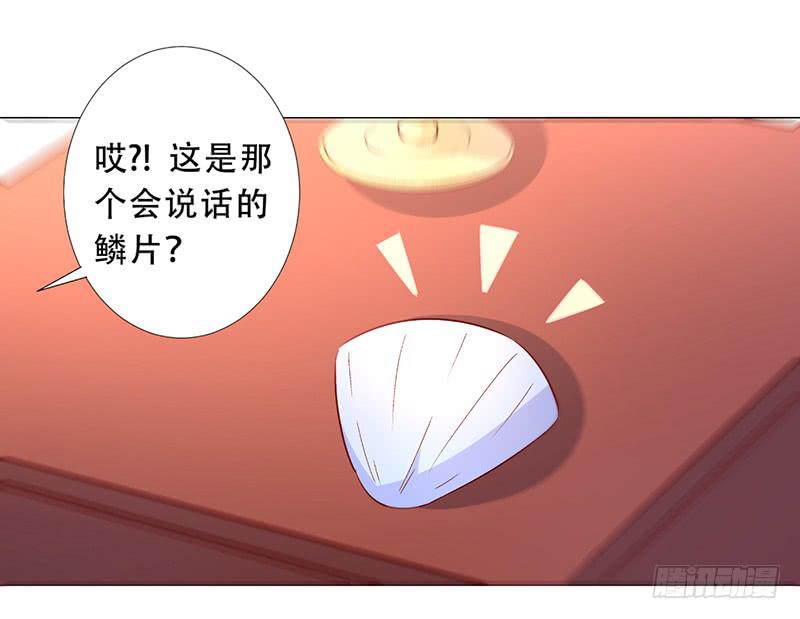 028 难道认错男主角了？28