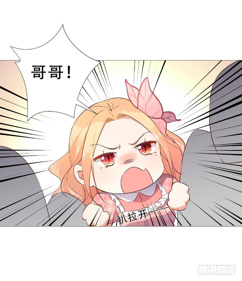 054 她叫花梨子！11