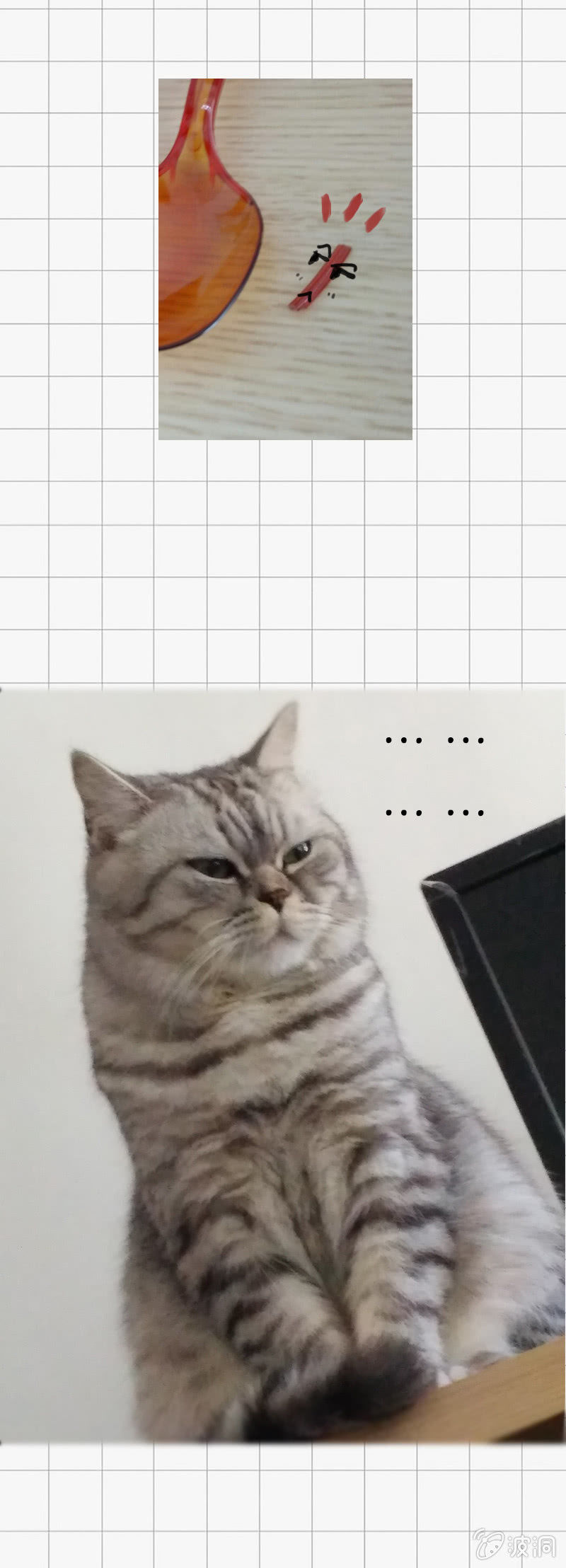 情比金坚37