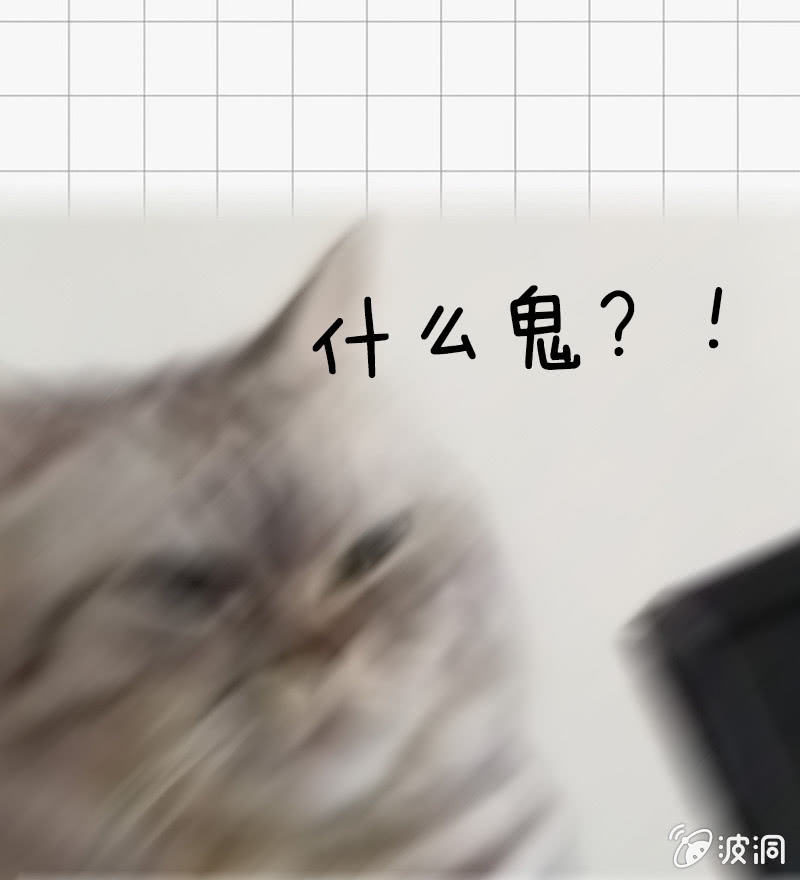 情比金坚38