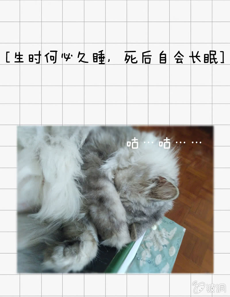 我鞭故我在37