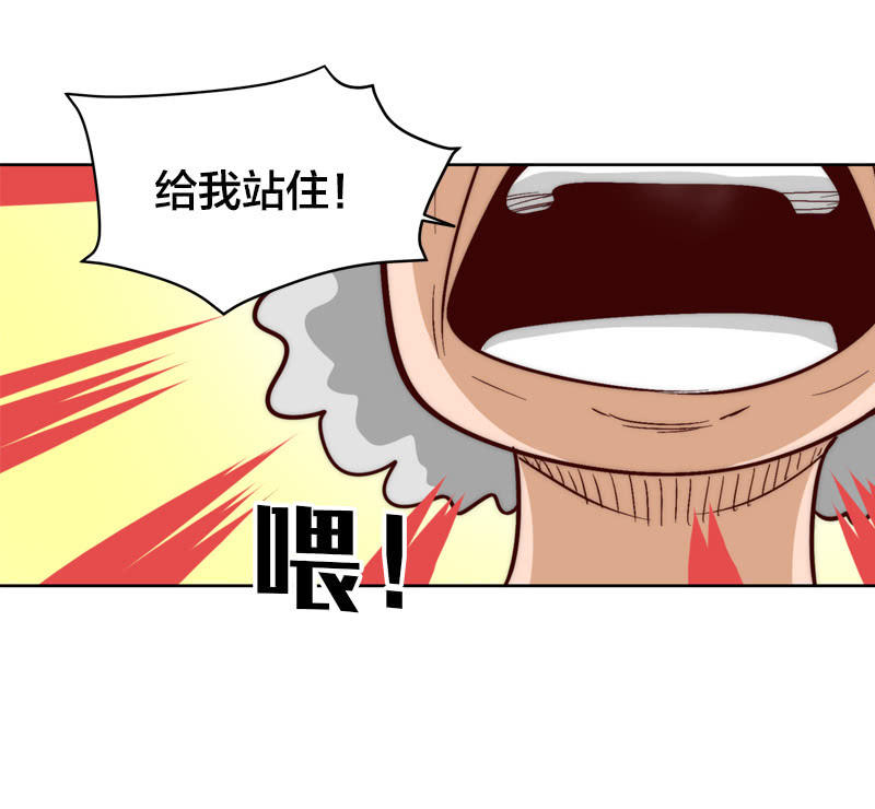 换帅13