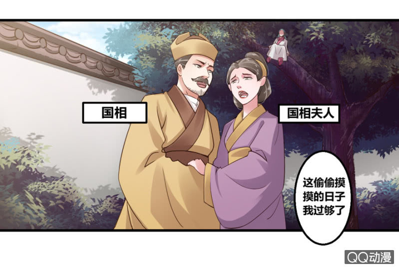 相国夫人的秘密9