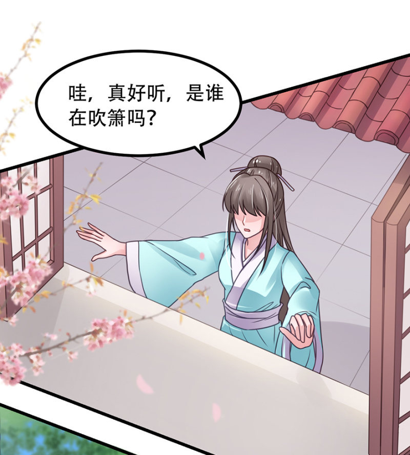百鸟朝凰11