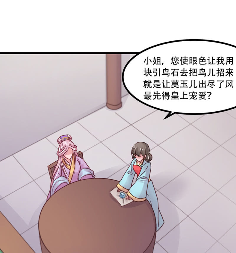 百鸟朝凰25