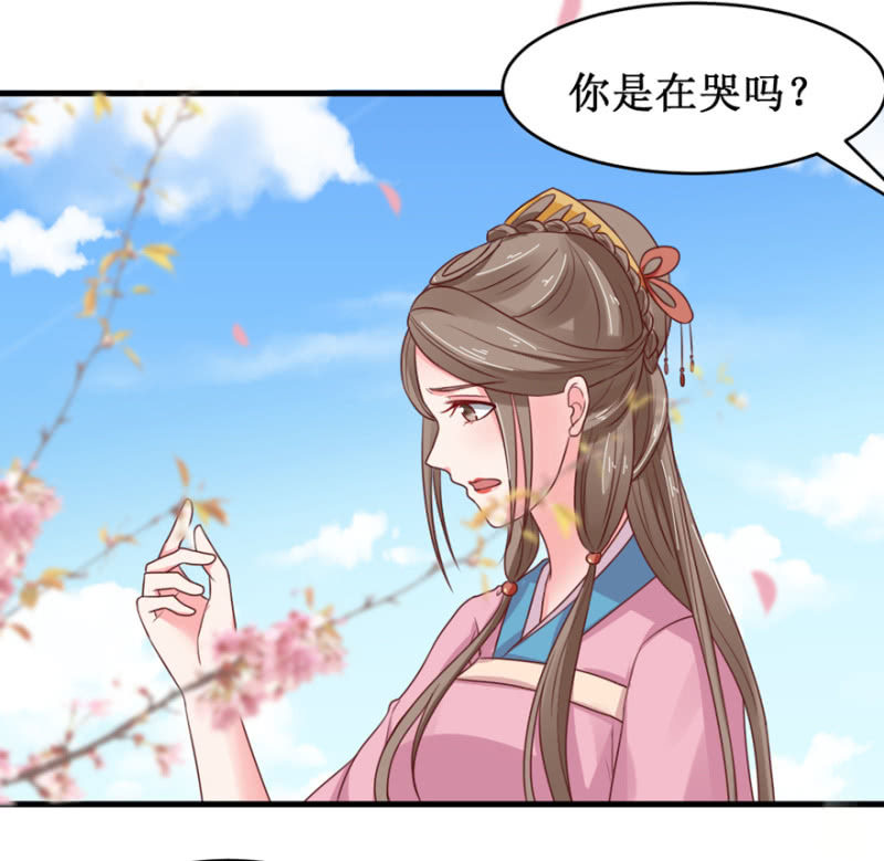 百鸟朝凰3