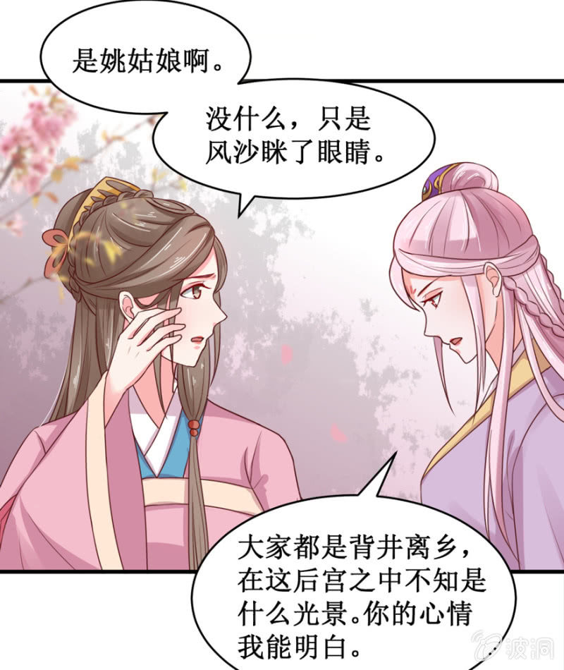 百鸟朝凰4
