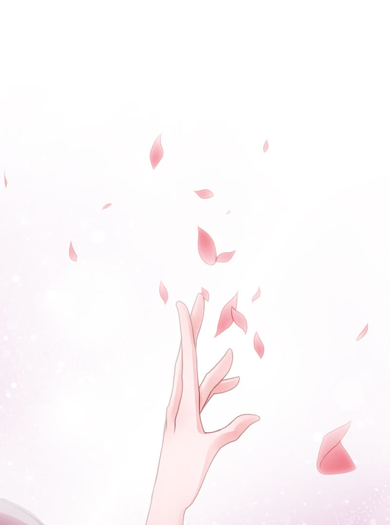 花舞18