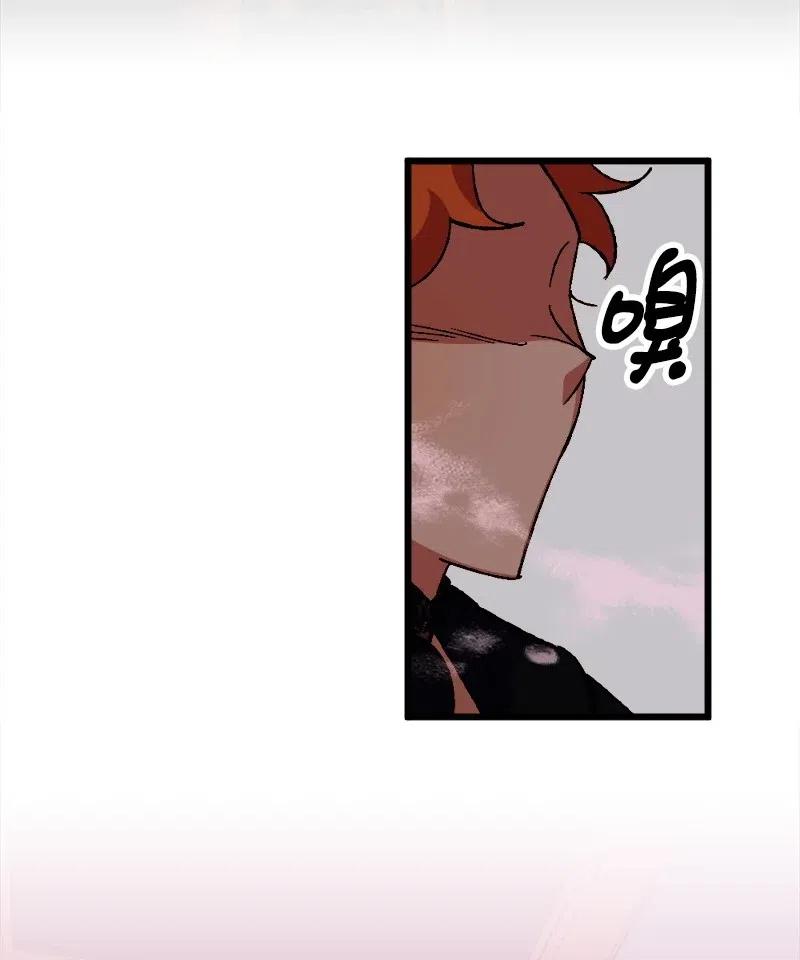 49 作战开始66