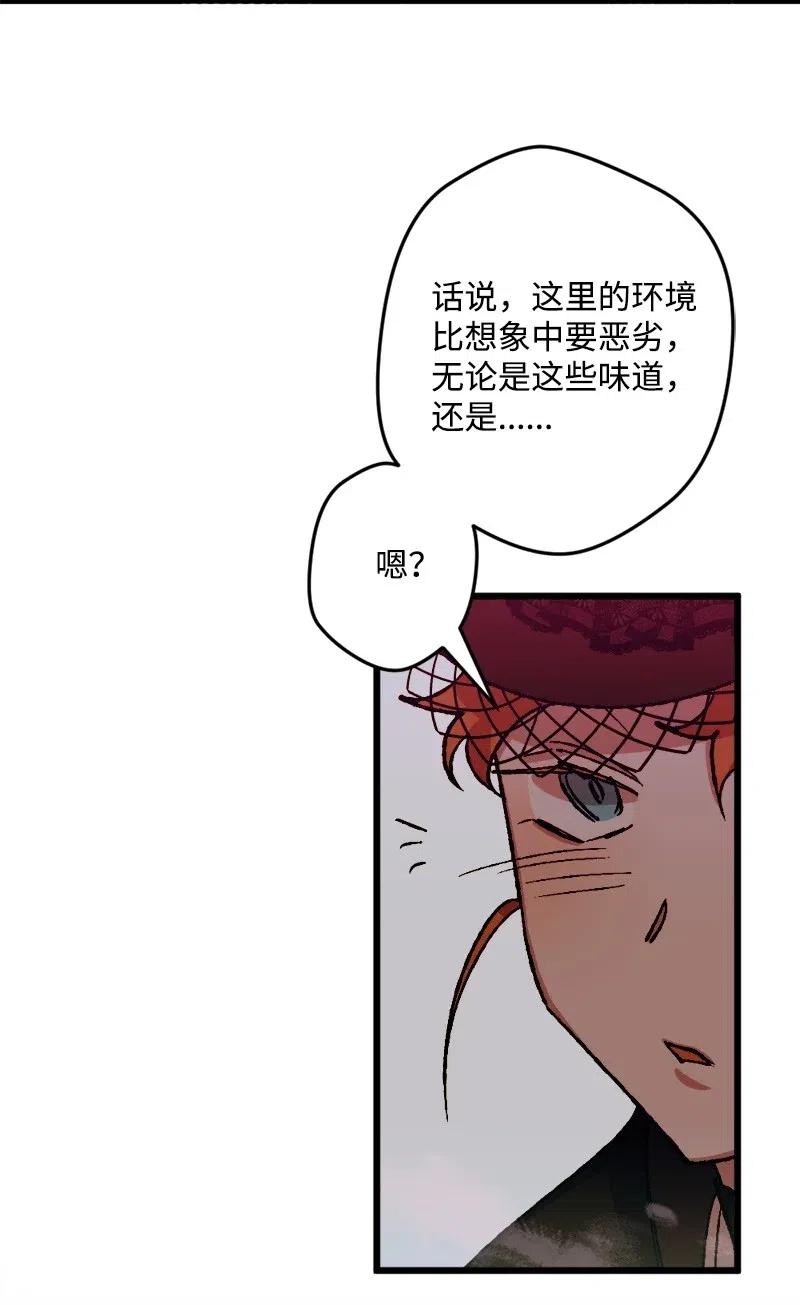 49 作战开始78