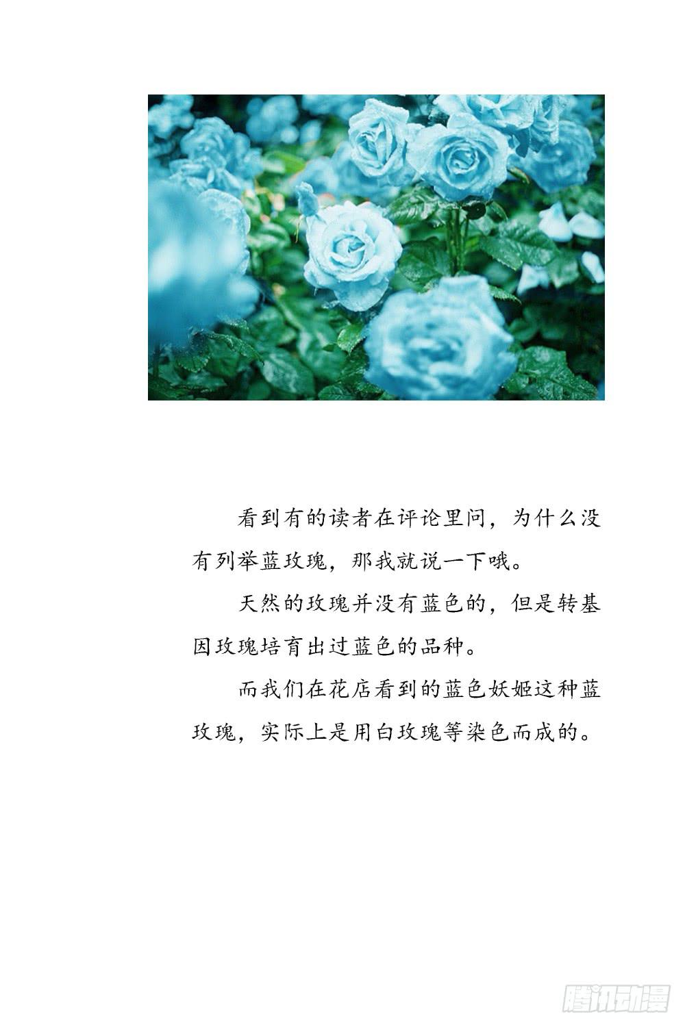 有节操的商人35