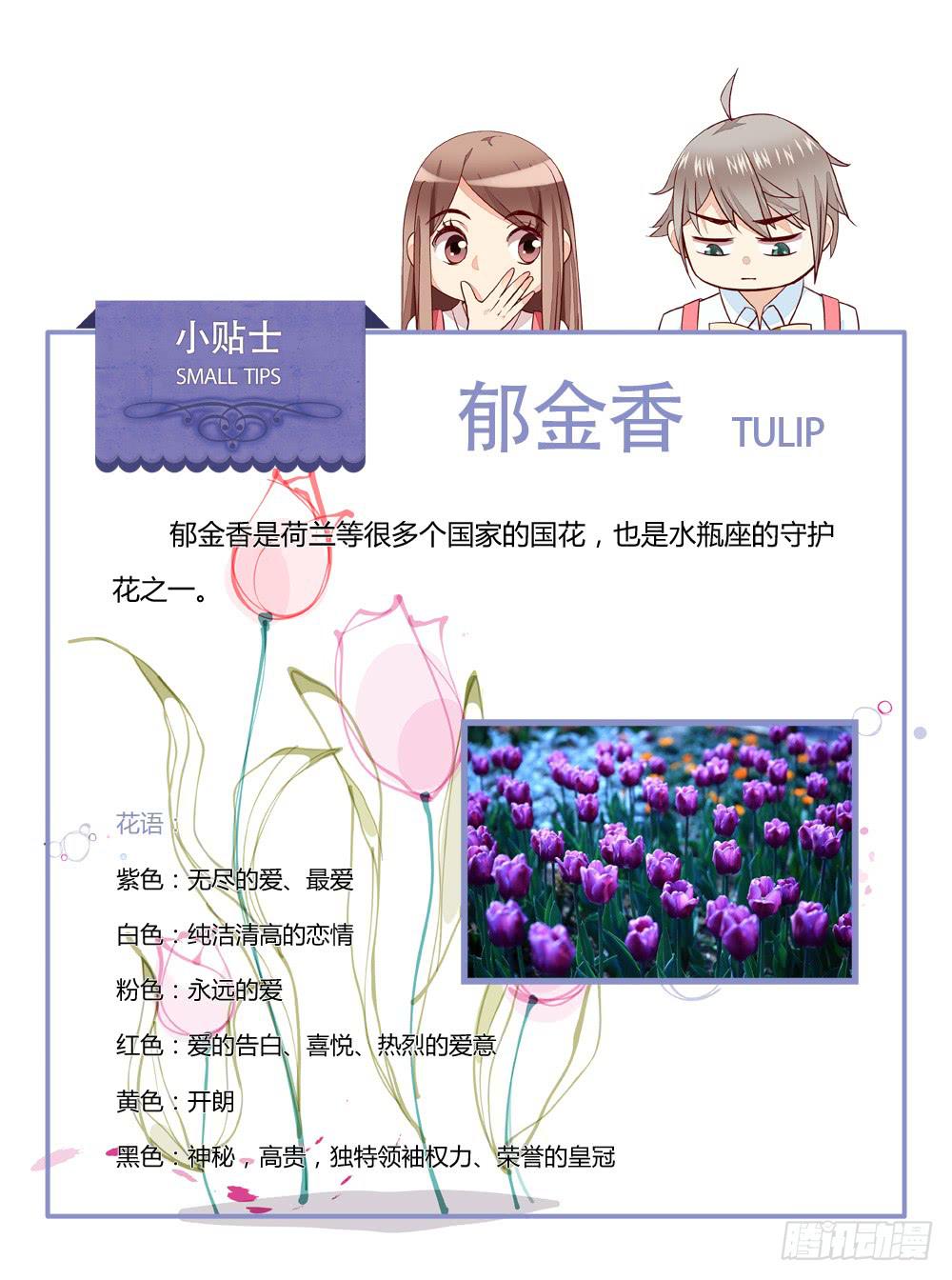 最亲爱的哥哥35