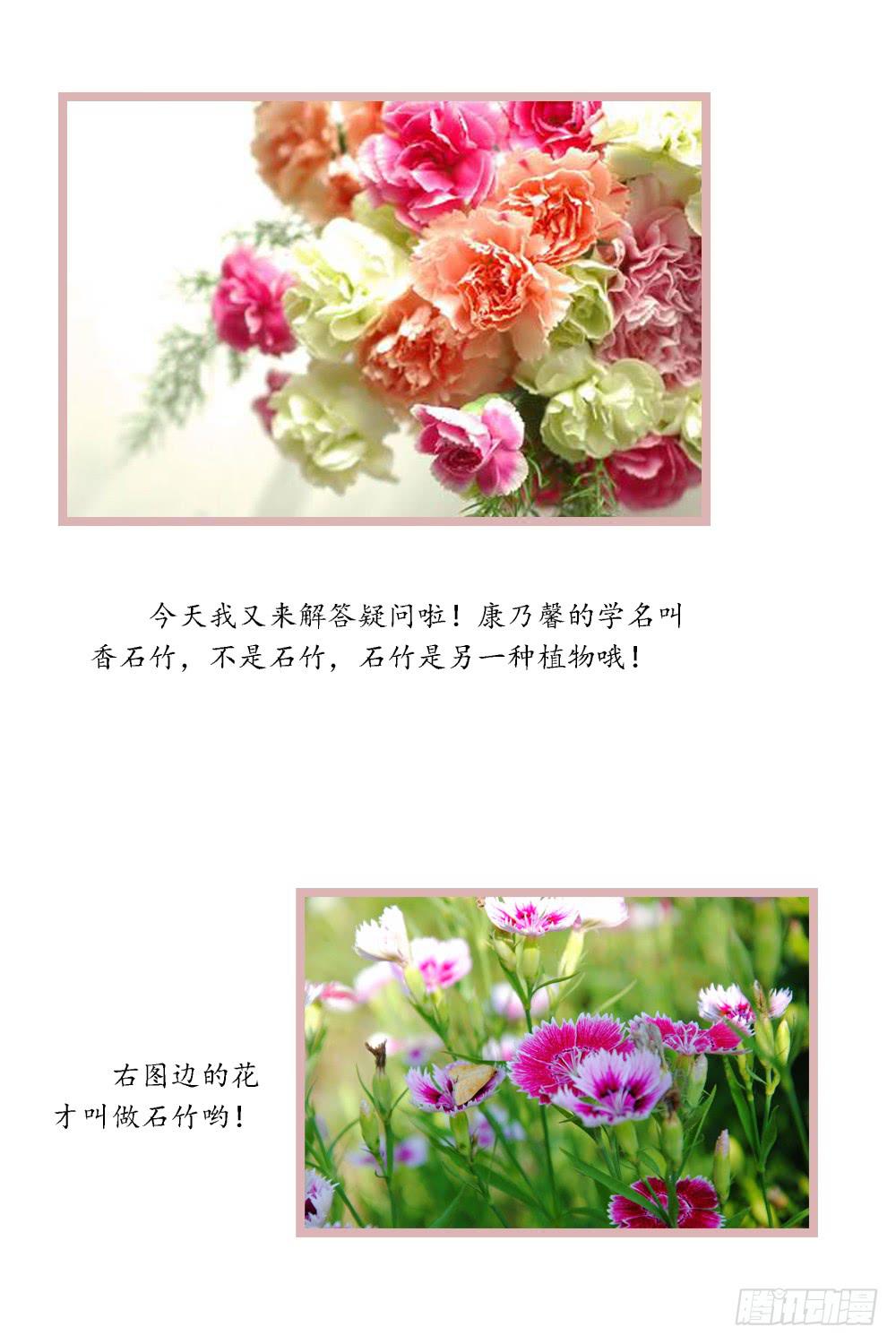 最亲爱的哥哥36