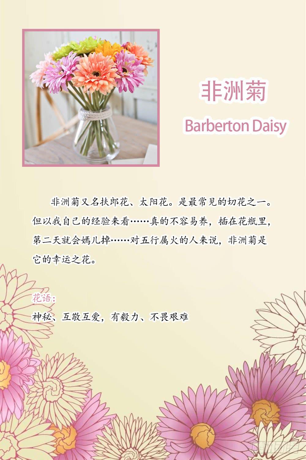 新的应聘者35