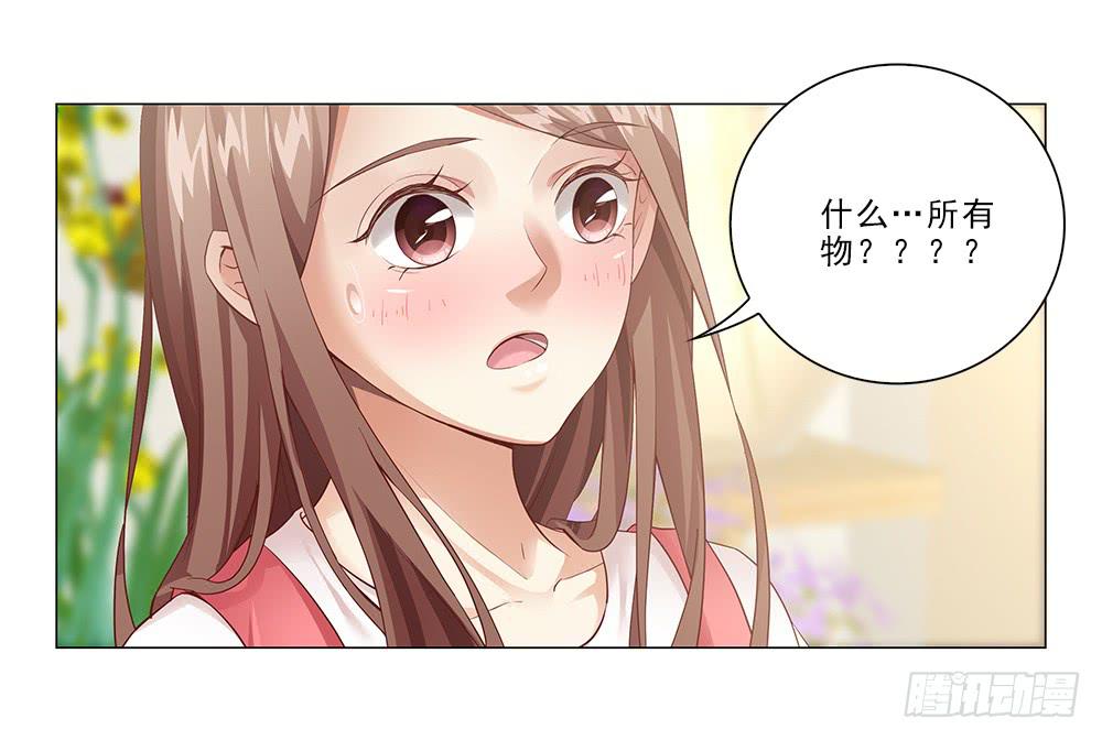 所有物？28