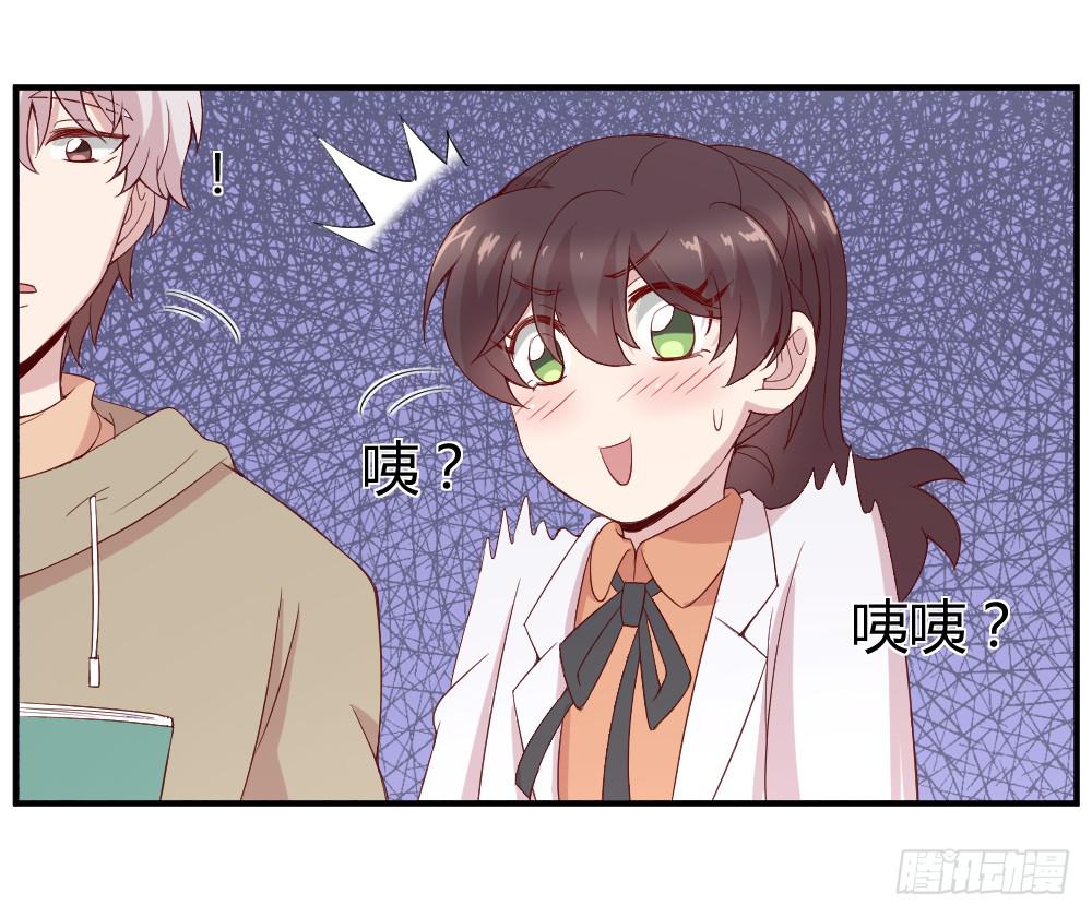 不遑启处13