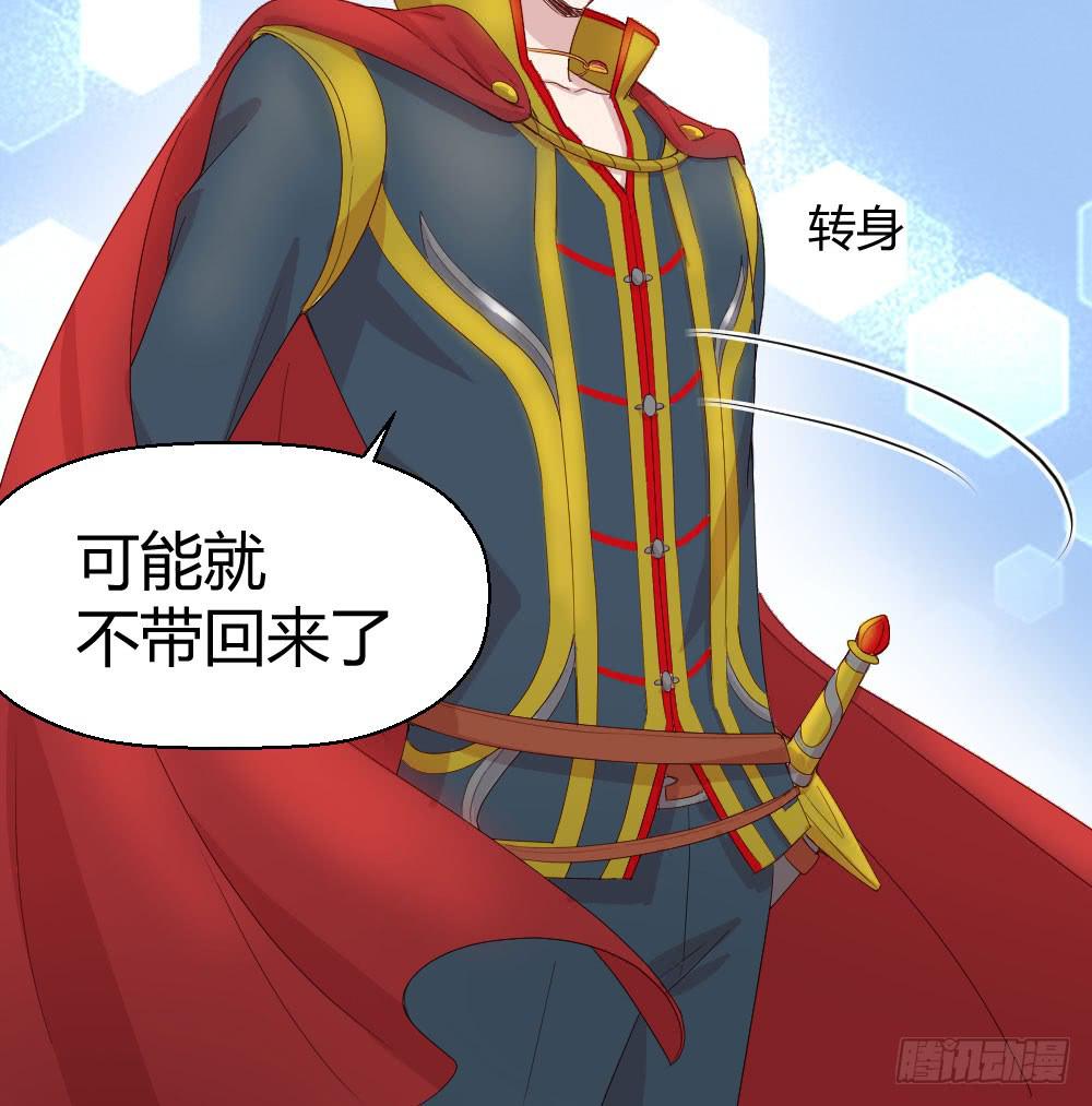 骑士和王子13