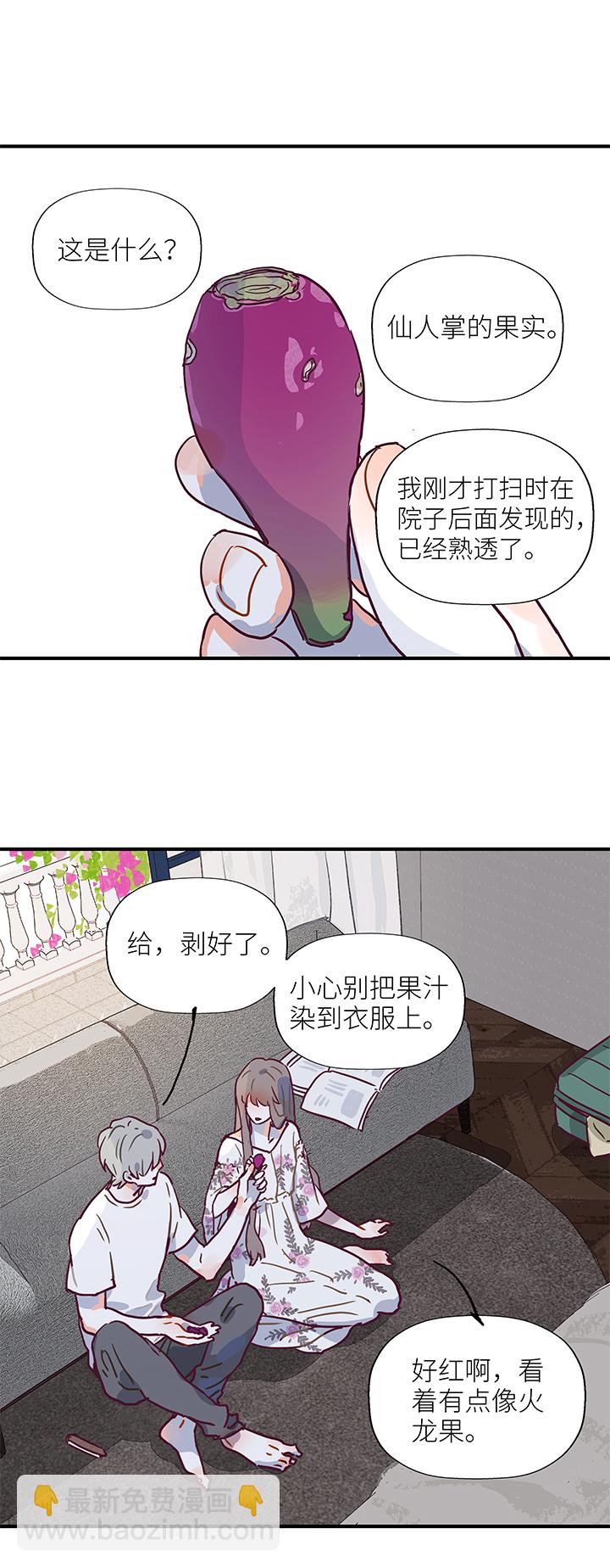 48 仙人掌果实6