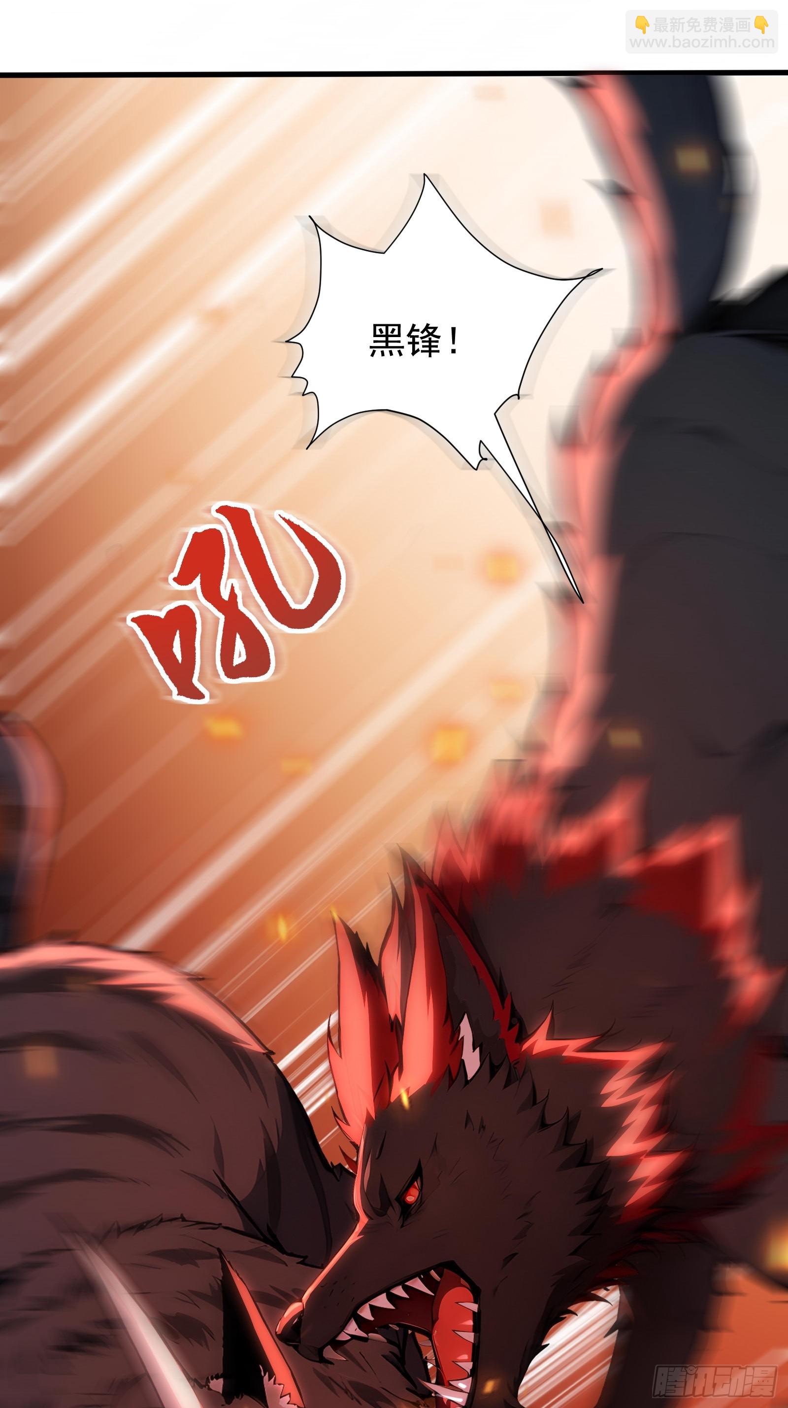 11 黑虎公会30