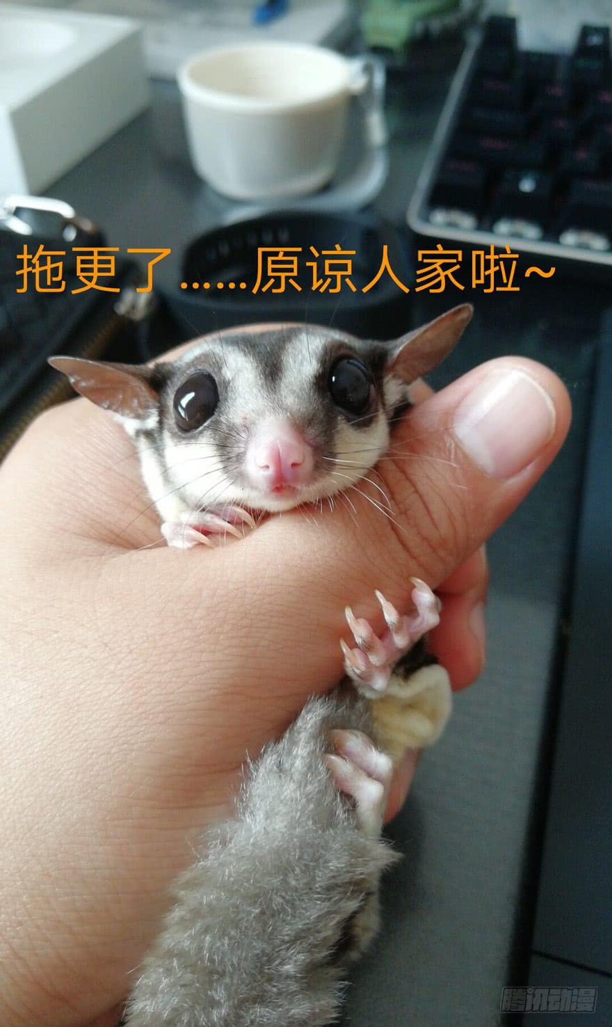 停更公告1