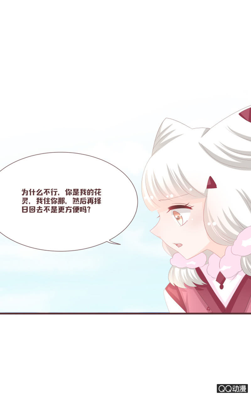 准备：花灵大会！10
