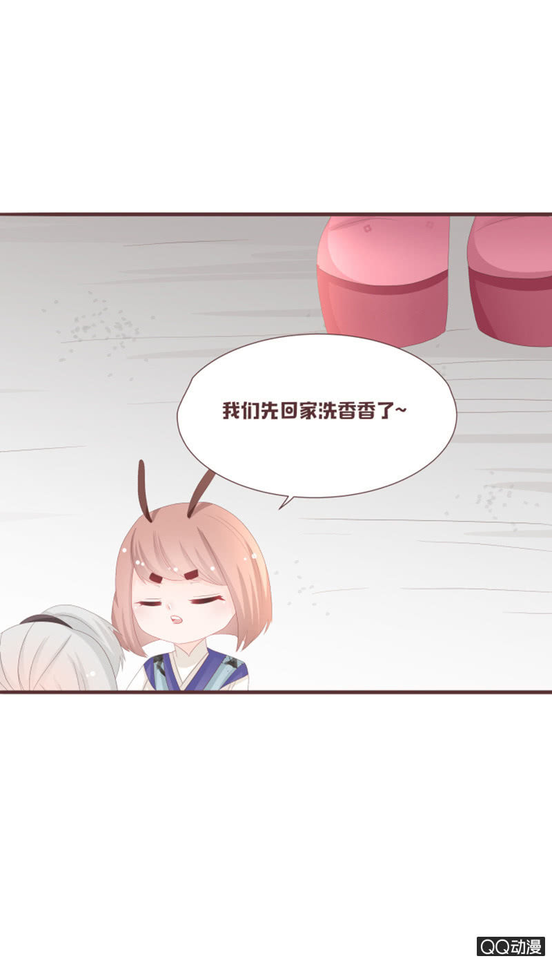 准备：花灵大会！13