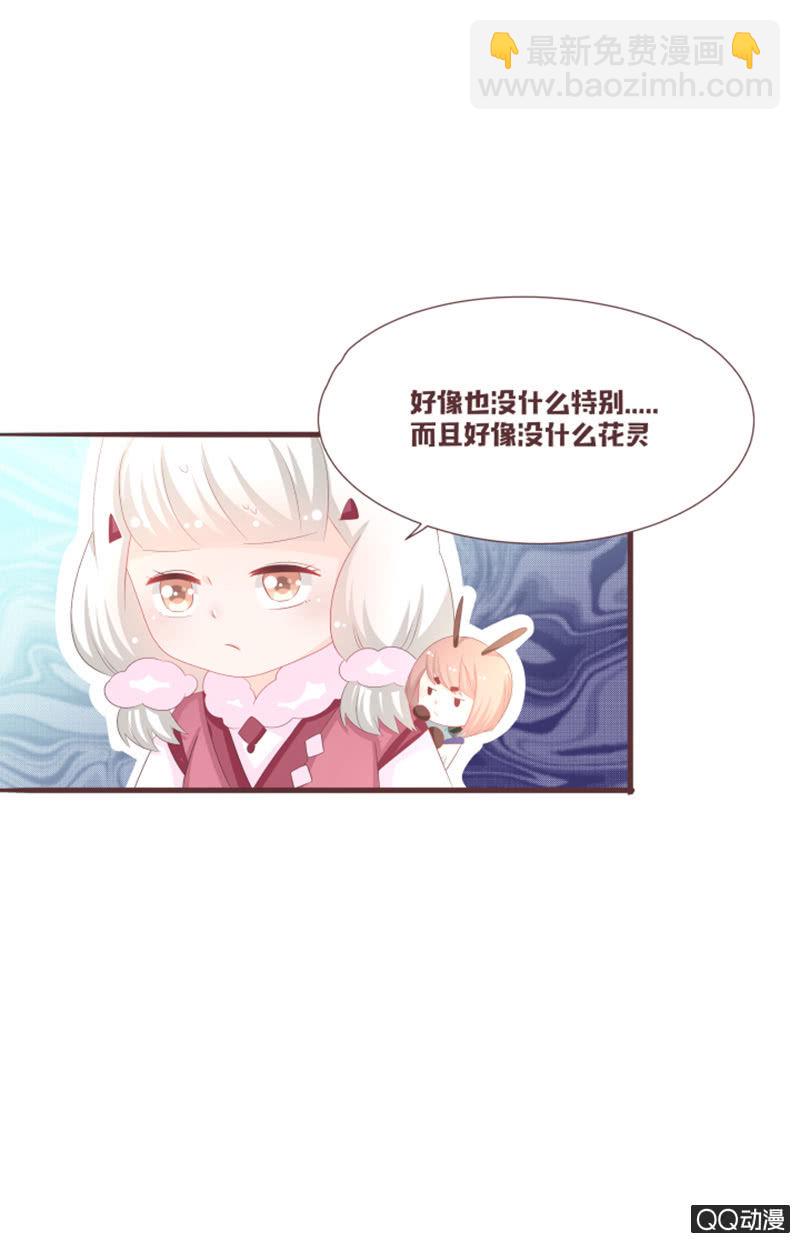 准备：花灵大会！3