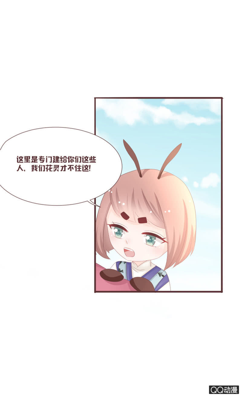 准备：花灵大会！5