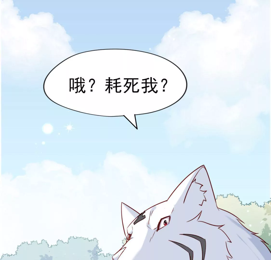 第027话 神奇的恢复力2
